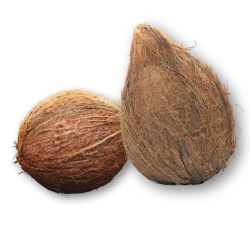 Semi Husked Coconut